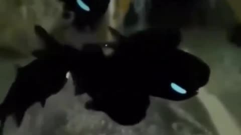 these are the coolest looking fish ever!🤯