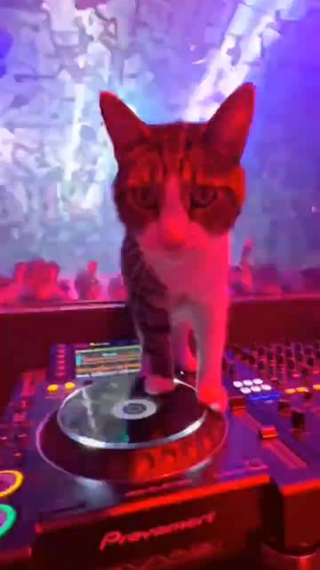 I don't think he knows what hes doing