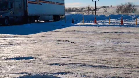 Off like a Hurd of turtles #reallifetruckers #ourtruckinglife #truckdriving #trucking #keepontruckin