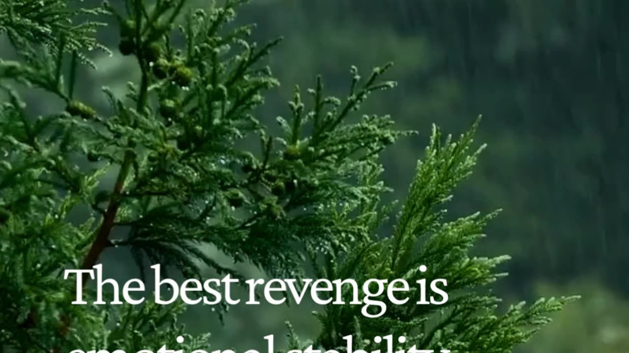 The Best Revenge? Emotional Stability — Master the Art of Not Reacting