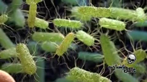 بیماری عجیب تاریخ که هنوز کسی نمی‌داند چه بود