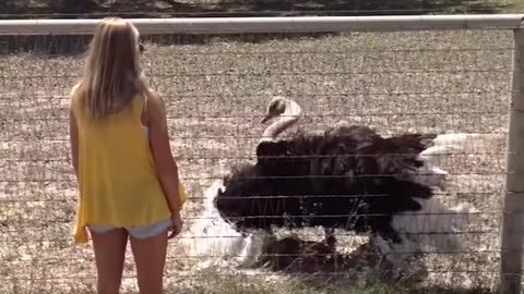 Unforgettable Funny Videos Compilation 🗣️😱😂😍 | Funniest Moments You’ll Ever See!