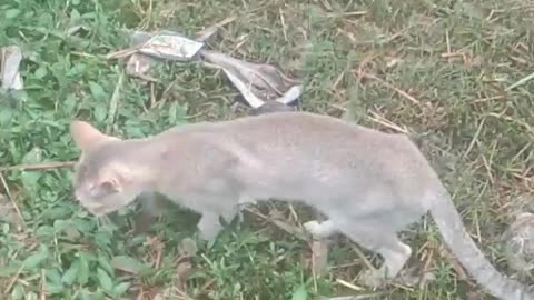 The face you make when your snack falls