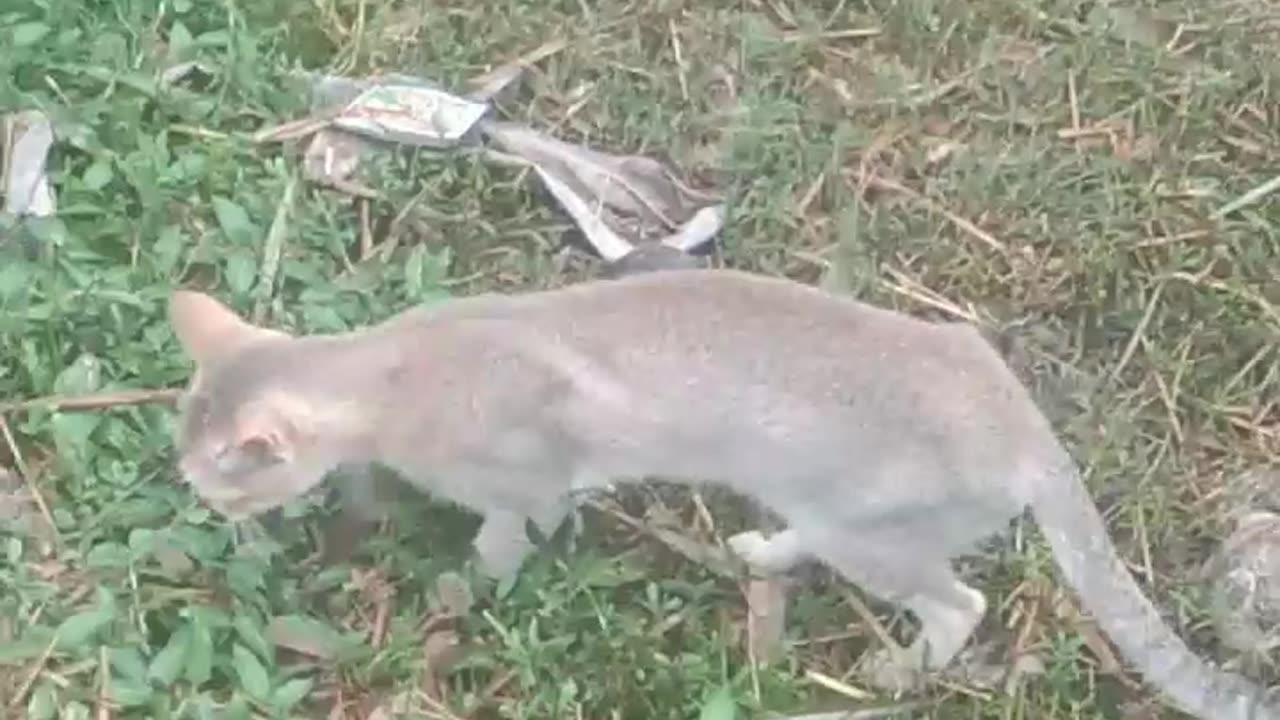 The face you make when your snack falls