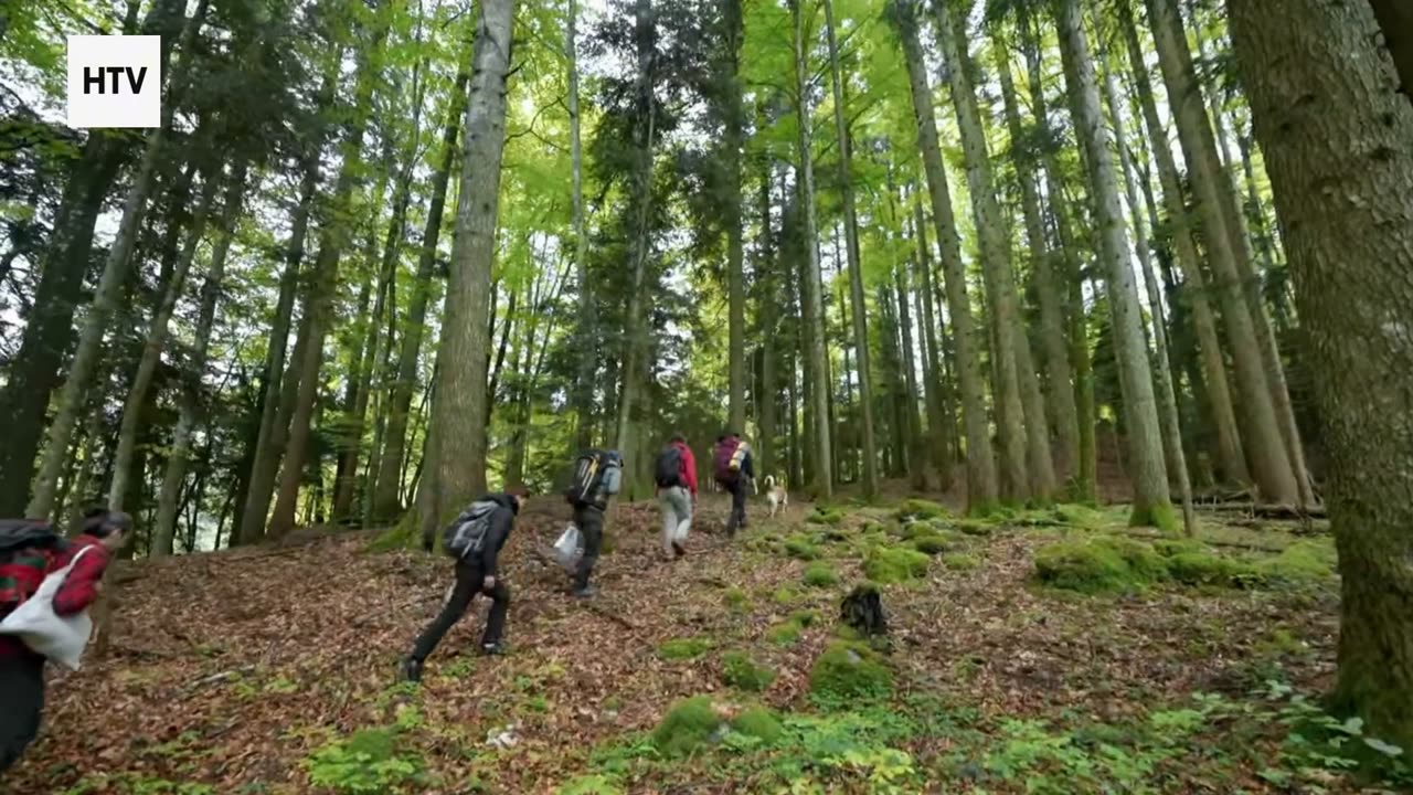 Escape to the Most Enchanted Natural Places