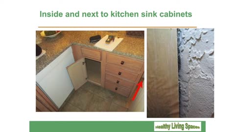 Chaetomium Mold Under Kitchen Sink Cabinets