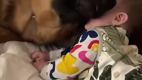 Cute Baby Playing with Adorable Animals 🐶🐱 | Heartwarming Moments You’ll Love