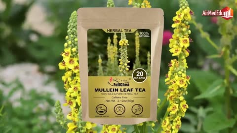 45 Benefits of Mullein Leaf Tea