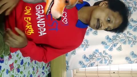 Magic Dekho-006-Cats Dogs Bats-#shorts