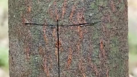 💡👀 This Is Genuinely Useful | LifeHacksDaily