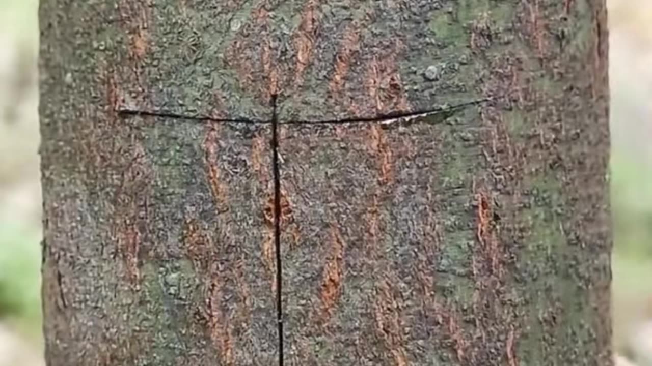 💡👀 This Is Genuinely Useful | LifeHacksDaily