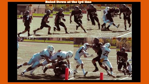 Prototype 455: They ruled him down at the 1yd line? SMH