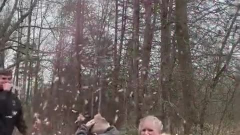 Gender Reveals: Our Little Mystery 🎉 | Hilarious & Heartwarming Moments”