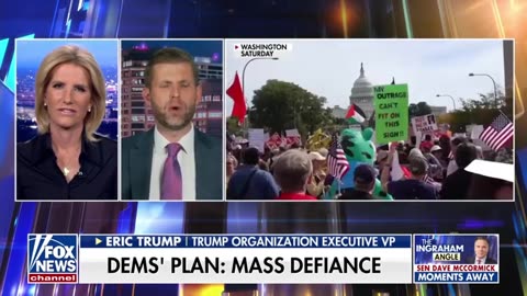 No Kings Rallies Dont Resonate With Average Americans