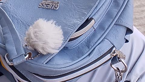 What is inside the girlfriend's bag?