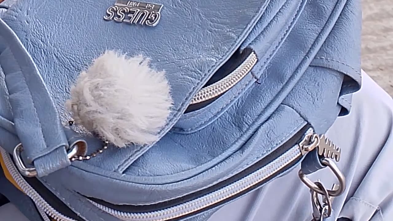 What is inside the girlfriend's bag?