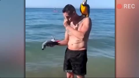 🌊 101 Incredible Beach Moments Caught On Camera 🏖️