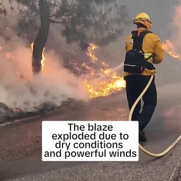 THE PALISADES FIRE FORCED THOUSANDS TO EVACUATE.!!