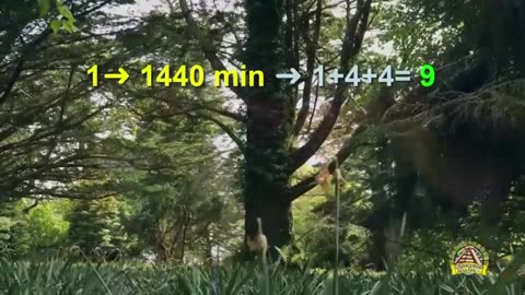 NIkOLA TESLA - 3 6 9 Ist Der Schlüssel Zum UNIVERSUM