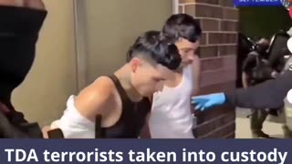 ICE agts & others involved, they roped down off Blackhawk choppers onto roofs