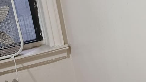 Noem deploying more ICE agents in Minnesota