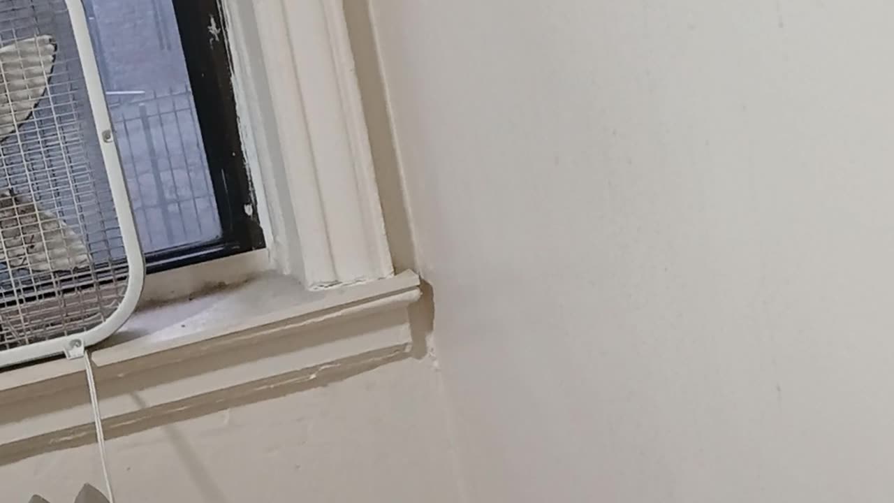 Noem deploying more ICE agents in Minnesota