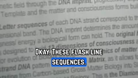 FIRE LETTER, SCALAR GRID PATTERNS. ASHAYANA DEANE-A53