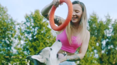 Woman Training Dog At The Spark | Woman Playing With Dog. #DogLovers #DogTraining #dogs