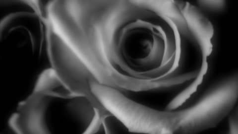 Mariah Carey - Can't Let Go (Official HD Video)