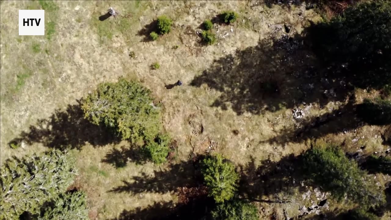 Hidden Escapes: Where Nature Comes Alive