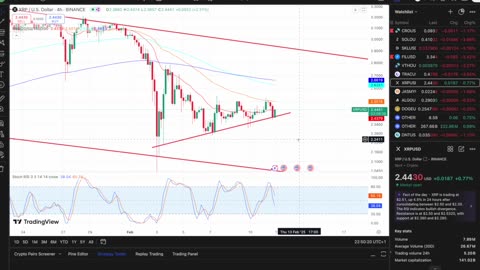 Quick XRP Price Update!