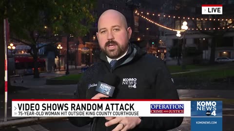 Homeless Repeat Offender Blinds Elderly Woman With Nail Through Her Eye