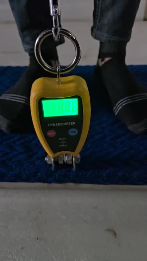 Chest Back Legs Digital Dynamometer Physiotherapy Rehabilitation Device