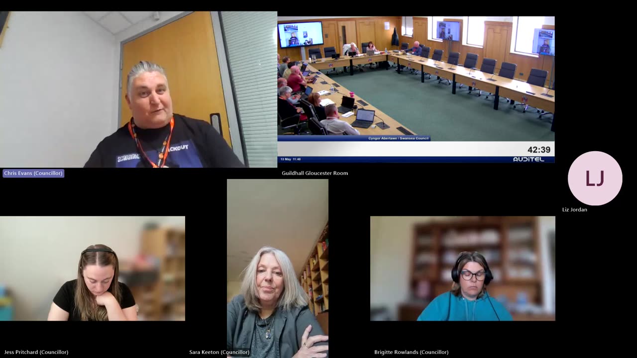 Swansea Council - Scrutiny Performance Panel: Climate Change and Nature 13 May 2025