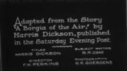 WINGED WARFARE ON THE BOLL WEEVIL - WINGED WARFARE ON THE BOLL WEEVIL - 33-312-r1