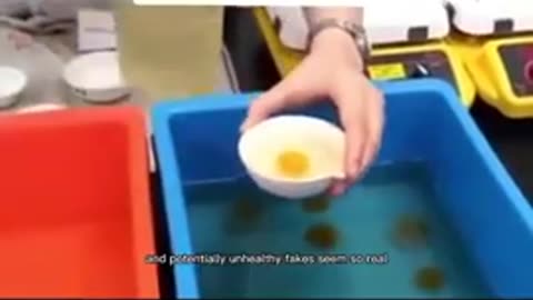 fake' Eggs