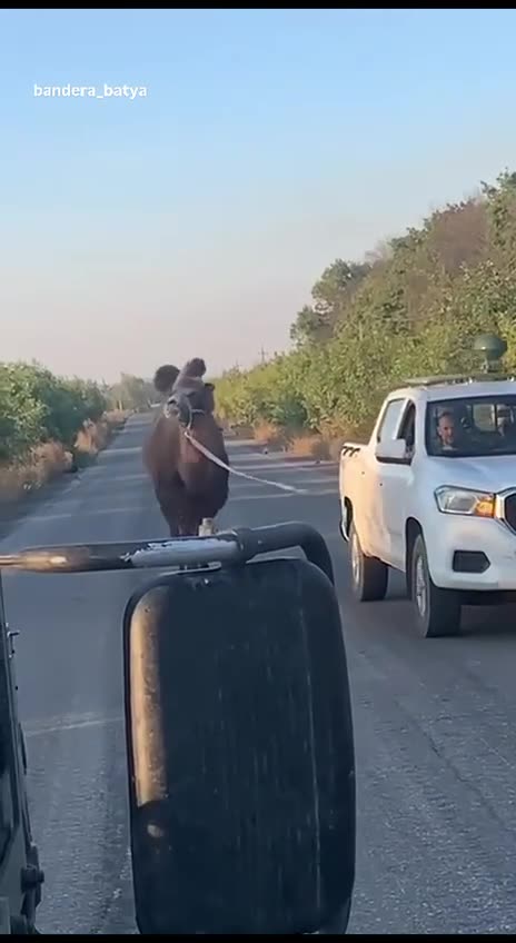 Russians Receiving a Replacement Vehicle