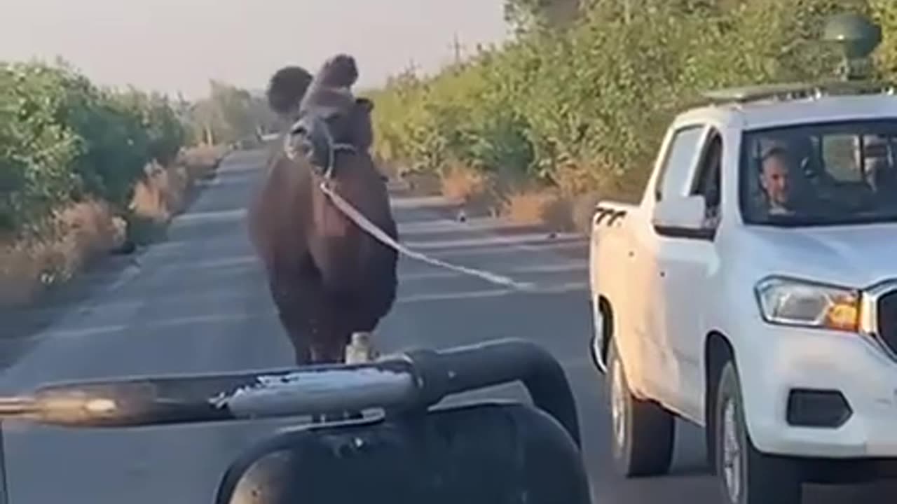 Russians Receiving a Replacement Vehicle