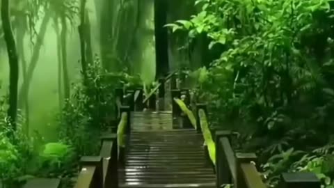 Relax for sleep