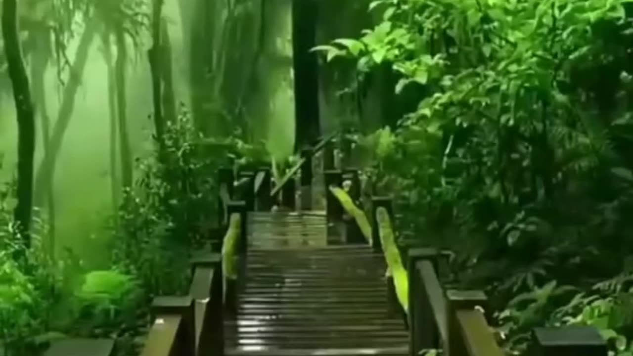 Relax for sleep