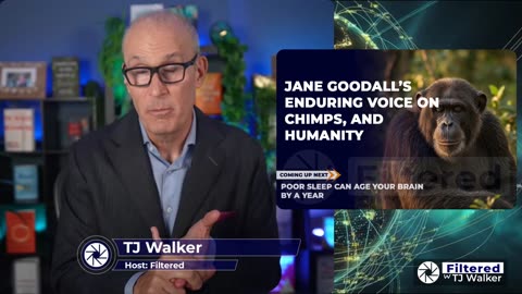 Jane Goodall’s Legacy, Facebook Scams, and Trump’s AI Mockery