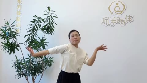 0505.體內空間力