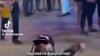 😂💸 He Thought He Could Steal a Purse... | FunFM