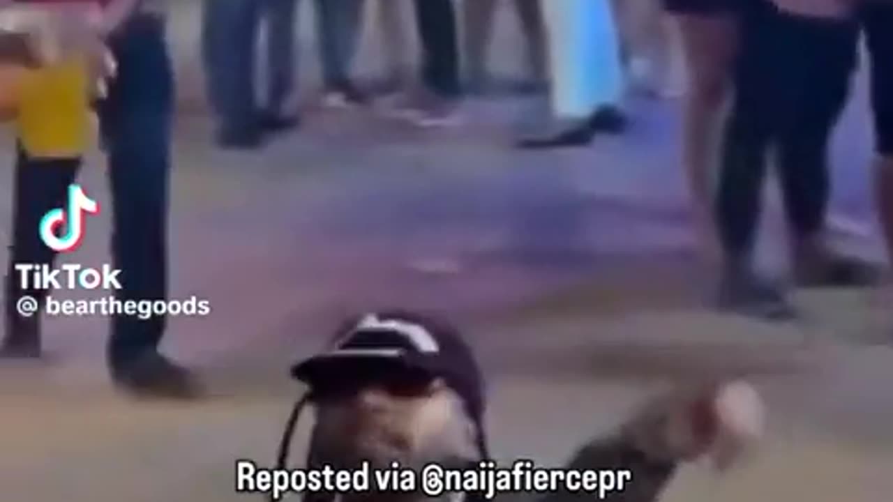 😂💸 He Thought He Could Steal a Purse... | FunFM