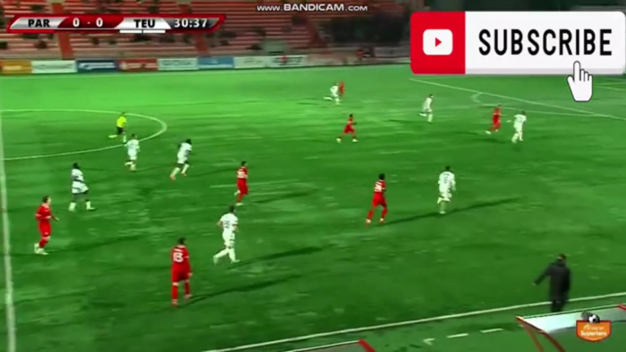 partizani goal