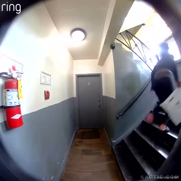 They never make any effort at anything except this