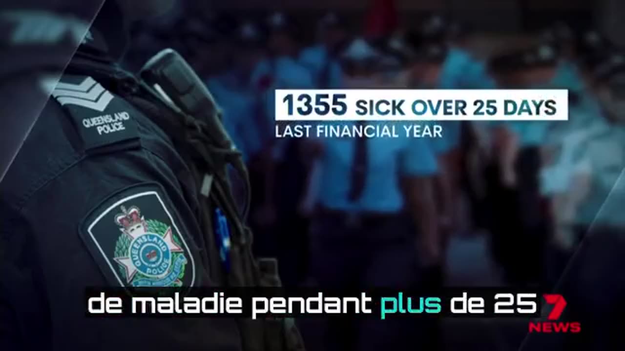 EXODE MASSIF DES CHIENS DE GARDE EN AUSTRALIE 😎👍