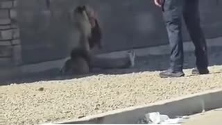 😱👀 This Prank Will Leave You Speechless! | FunFM