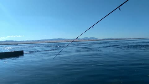 I Get High on Fishing lol (Fall Striper Fishing)