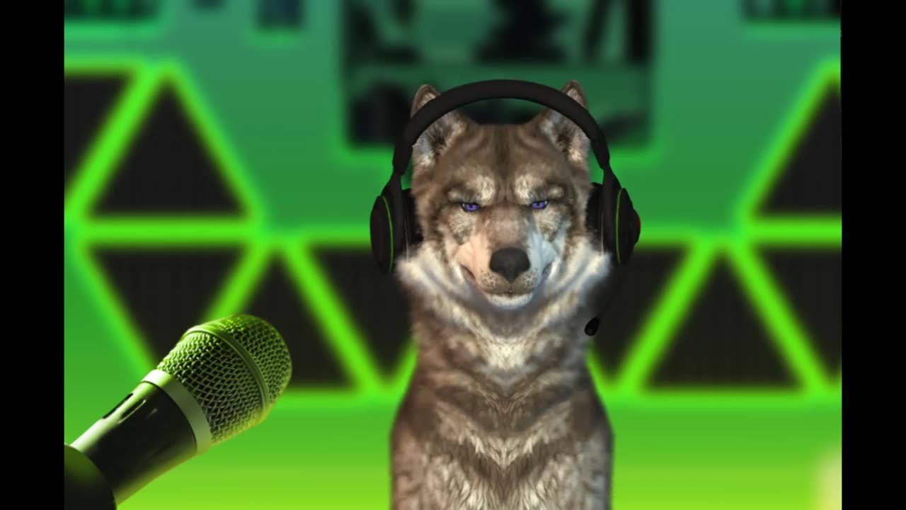 Damn Dog, Not Again